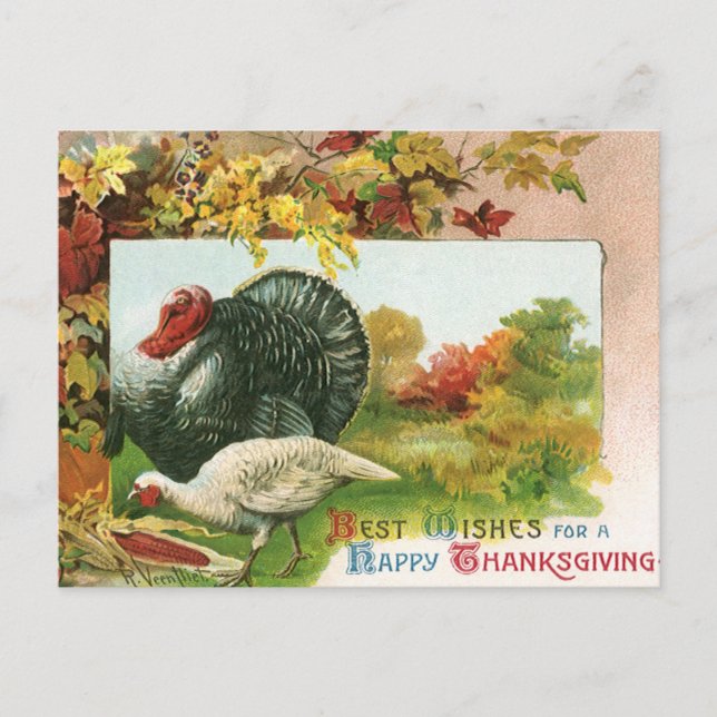 Vintage Thanksgiving, Wild Turkeys Autumn Colours Holiday Postcard (Front)