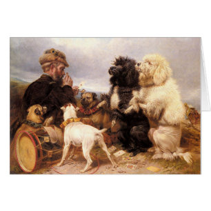 Vintage - The Lucky Dogs,