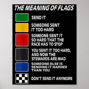 Vintage The Meaning Of Racing Flags Motorsrt Racin Poster