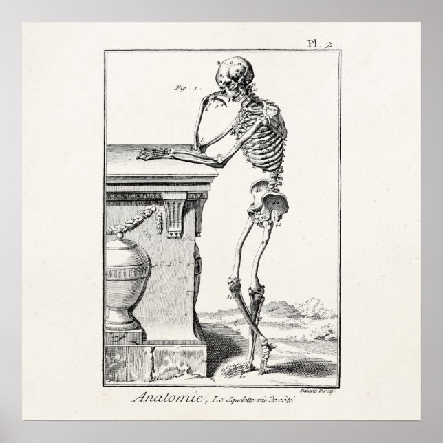 Vintage Thinking Human Skeleton Medical Anatomy Poster (Front)