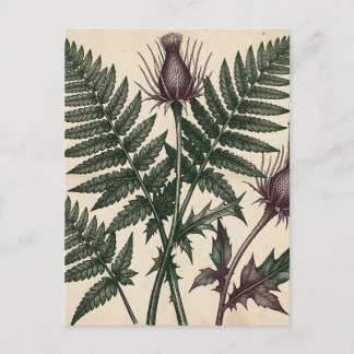 Vintage Thistle and Fern Botanical Postcard