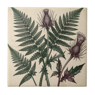 Vintage Thistle and Fern Botanical Tile