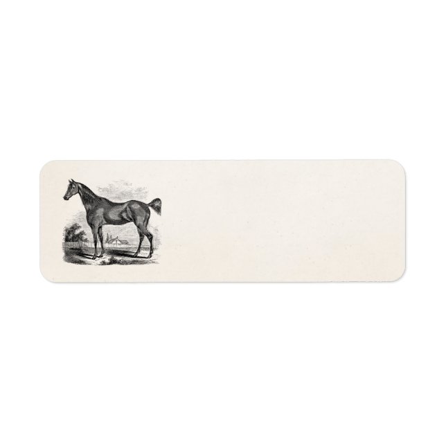 Vintage Thoroughbred Horse Equestrian Personalised (Front)