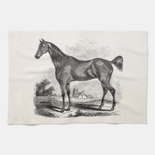 Vintage Thoroughbred Horse Equestrian Personalised Tea Towel