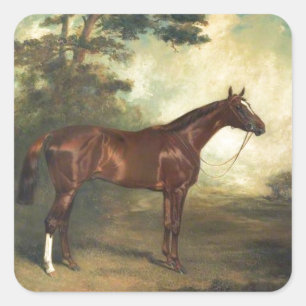 Vintage Thoroughbred Horse Square Sticker