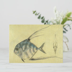 Vintage Threadfin Trevally, African Pompano Fish