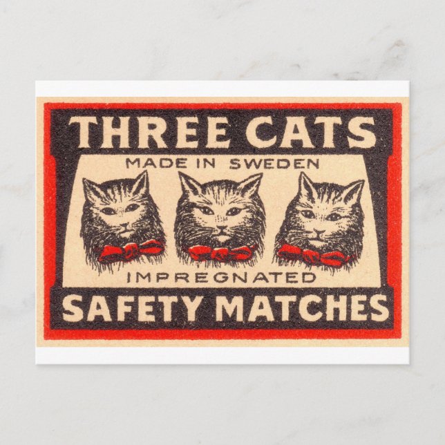 Vintage Three Cats Safety Matches Postcard (Front)