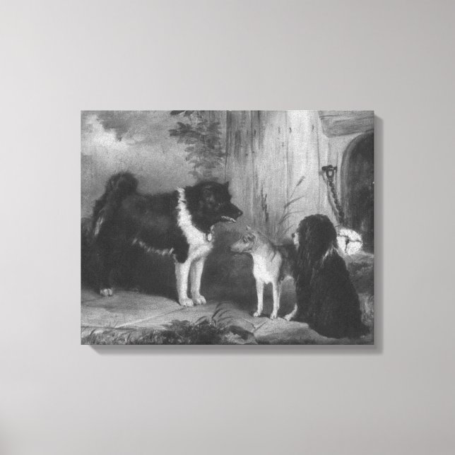 Vintage Three Dogs Thomas Musgrave Joy Canvas Print (Front)