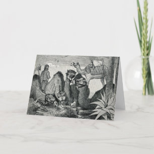 Vintage Three Wise Men Greeting Card