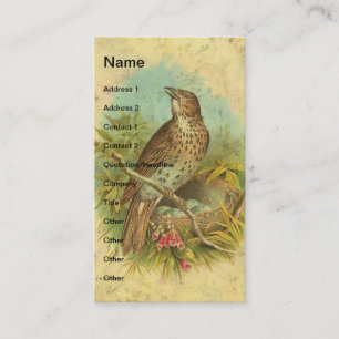 Vintage Thrush Business Card