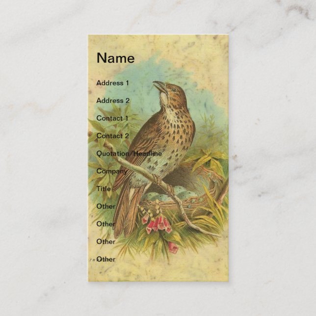 Vintage Thrush Business Card (Front)