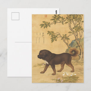 Vintage Tibetan Mastiff Imperial Chinese Art Postcard