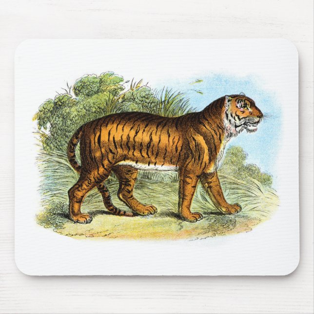 Vintage Tiger Illustration Mousepad (Front)