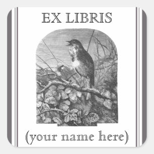 Vintage tiny bird etching bookplate square sticker