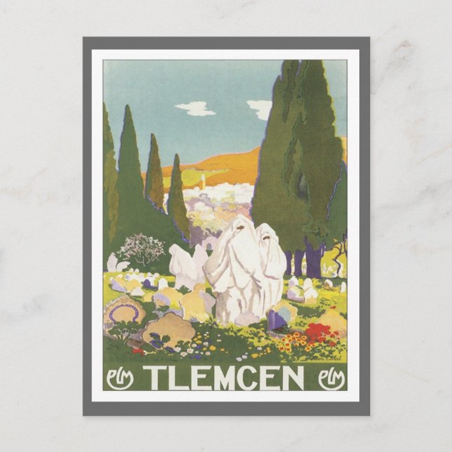 Vintage Tlemcen Algeria Postcard (Front)