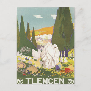 Vintage Tlemcen Algeria Postcard