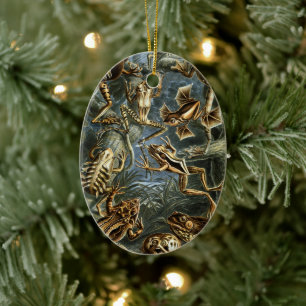 Vintage Toads and Frogs Batrachia by Ernst Haeckel Ceramic Tree Decoration