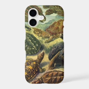 Vintage Tortoises and Sea Turtles by Ernst Haeckel