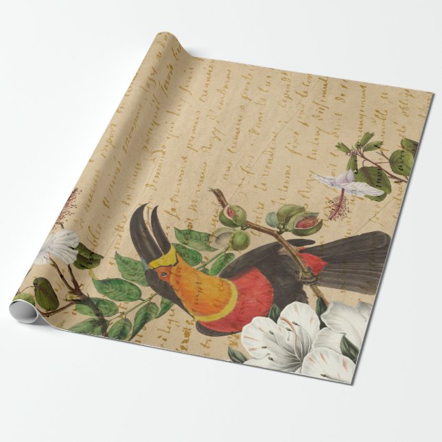 Vintage Toucan and Tropical Flower Wrapping Paper (Unrolled)