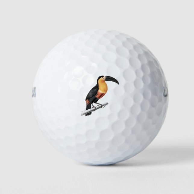 Vintage toucan bird golf balls (Front)