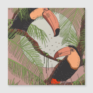 Vintage Toucans