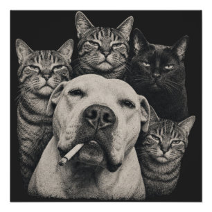 Vintage Tough Dog with Cigarette and Grumpy Cats Poster