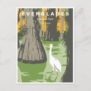 Vintage travel Everglades National Park Florida Postcard