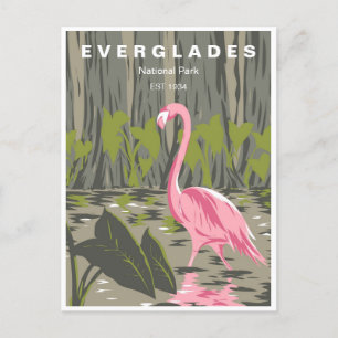 Vintage travel Everglades National Park Florida Postcard