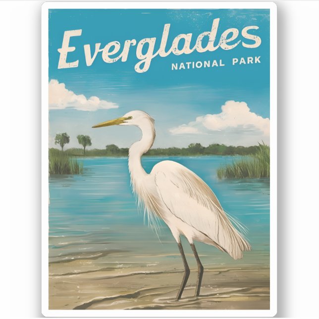 Vintage Travel Florida Everglades Nature Wildlife (Front)