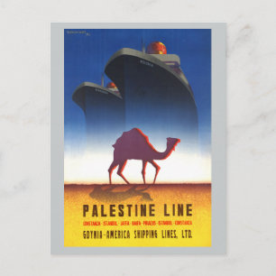 Vintage Travel Palestine Line Ship Postcard