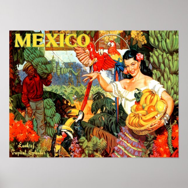 Vintage Travel Poster Mexico (Front)