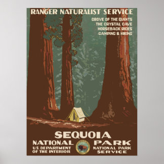 Vintage Travel Poster - United States