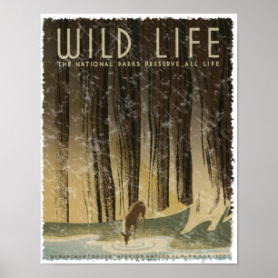 Vintage Travel Poster - Wildlife circa 1934