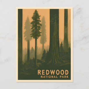 Vintage Travel Redwood National Park Retro Scenic Postcard