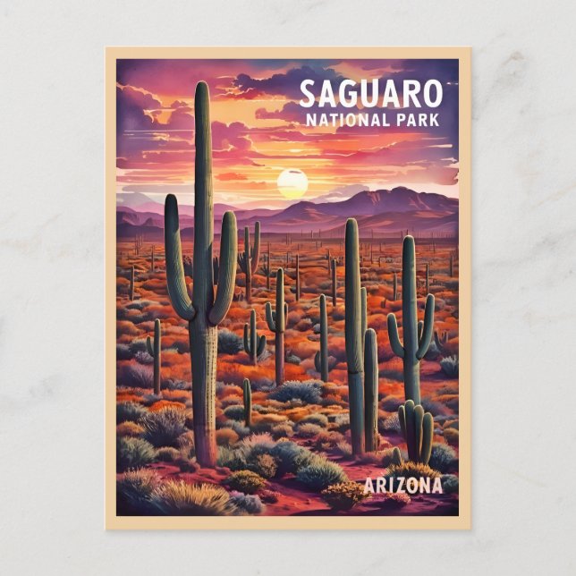 Vintage Travel Saguaro National Park Arizona Retro Postcard (Front)