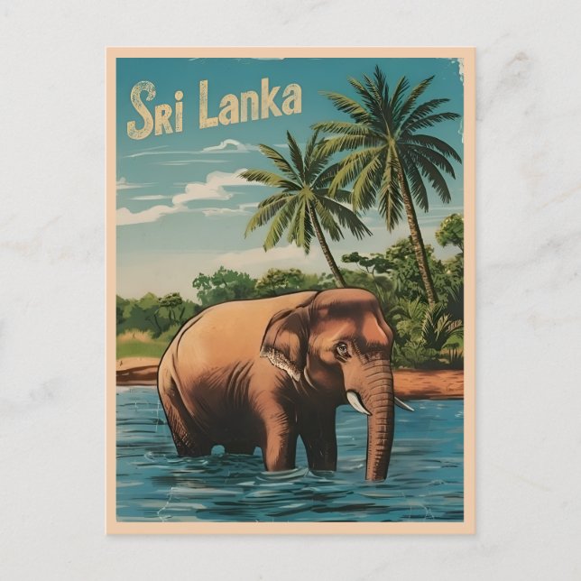 Vintage Travel Sri Lanka Ceylon Retro Scenic Postcard (Front)