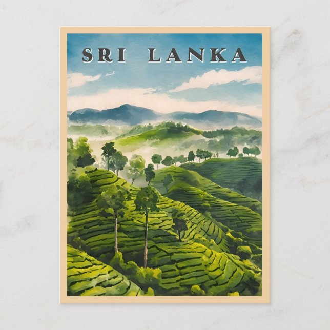 Vintage Travel Sri Lanka Ceylon Tea Plantation  Postcard (Front)