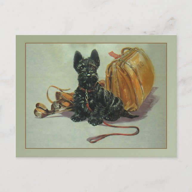 Vintage Travelling Scottie Dog Postcard (Front)