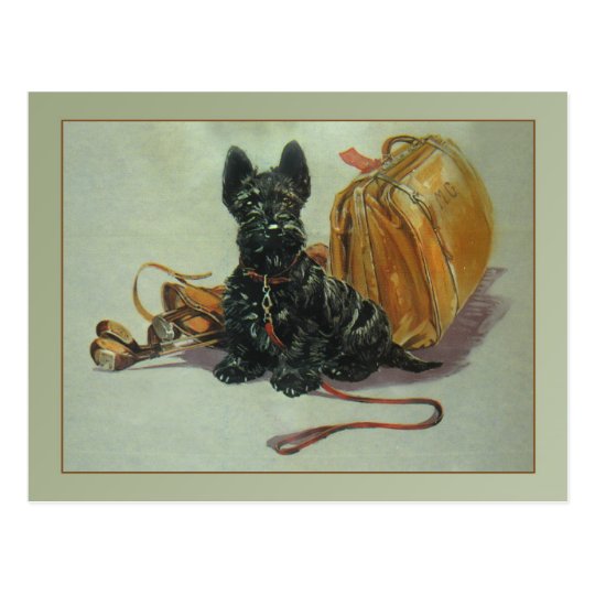 Vintage Travelling Scottie Dog Postcard