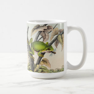 Vintage Tree Frog & Fly Coffee Mug