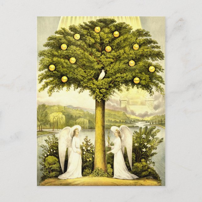 Vintage Tree of Life Christian Illustration 1892 Postcard (Front)