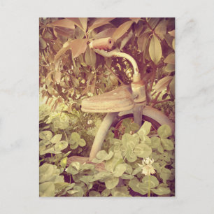Vintage Tricycle Postcard