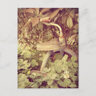 Vintage Tricycle Postcard