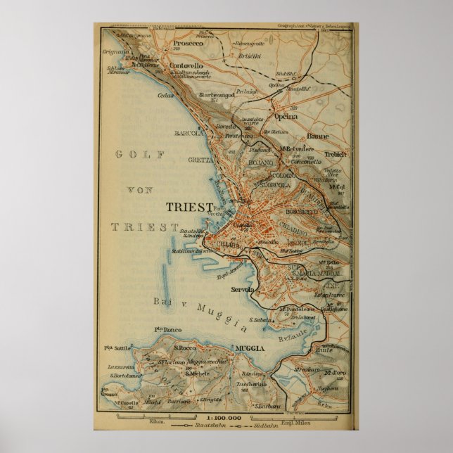 Vintage Trieste Italy Map (1911) Poster (Front)