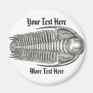 Vintage Trilobite Magnet