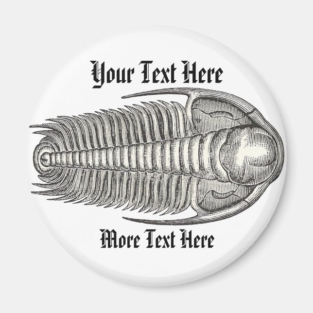 Vintage Trilobite Magnet (Front)