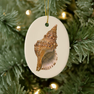 Vintage Triton Seashell Shell, Marine Ocean Animal Ceramic Tree Decoration