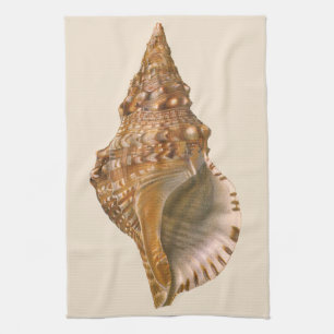 Vintage Triton Seashell Shell, Marine Ocean Animal Tea Towel