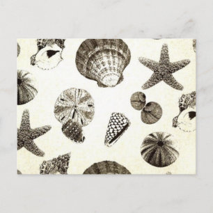 vintage tropical beach seashell wedding postcard