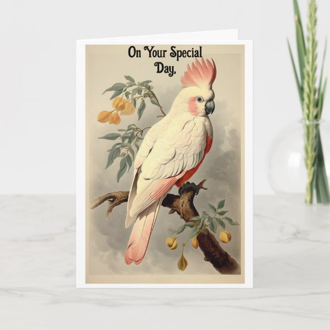  Vintage Tropical Bird Birthday Greeting Card (Front)